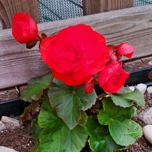 Meet your Posher, Meredith